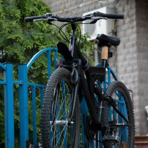 Cycle bertus