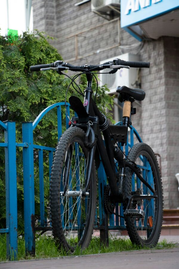 Cycle bertus