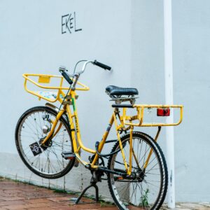 Dutch Oma Bike