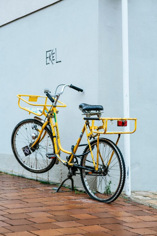 Dutch Oma Bike