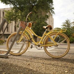 Batavus super bike