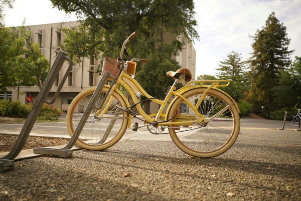 Batavus super bike